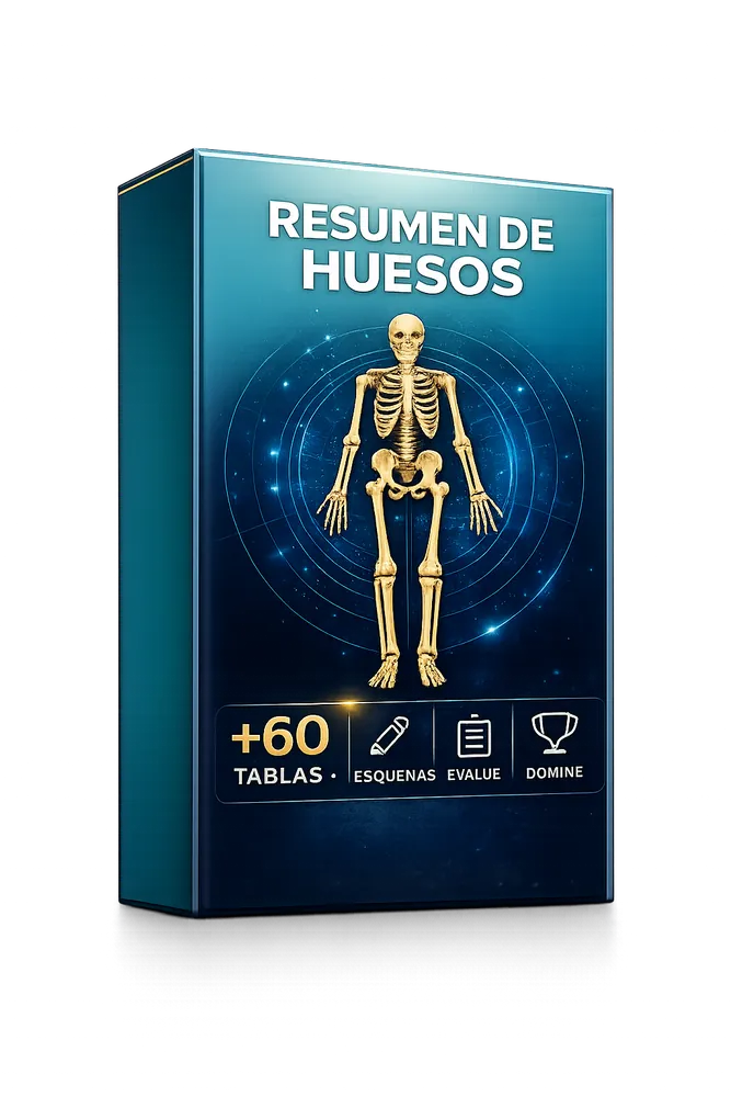 RESUMEN DE HUESOS